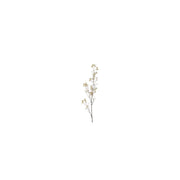 Country field countryfield fleur artificielle prunus avium soie crème h110cm - afbeelding 1