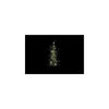 Country field countryfield sapin de Noël led cedrus vert plastique 11x10x61cm 15led 3xaaa