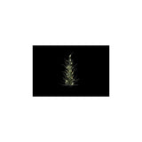 Country field countryfield sapin de Noël led cedrus vert plastique 11x10x61cm 15led 3xaaa - afbeelding 2
