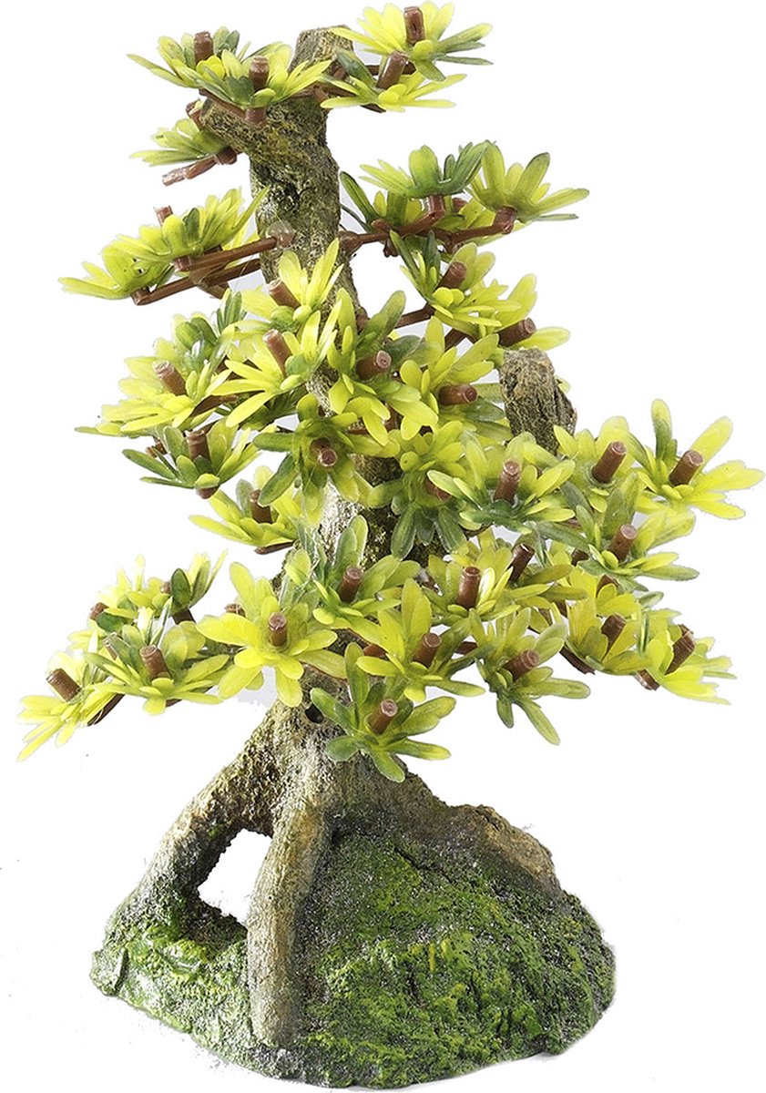 Aqua della europet bernina décor bonsaï 2 - aquarium - ornement - 15 cm