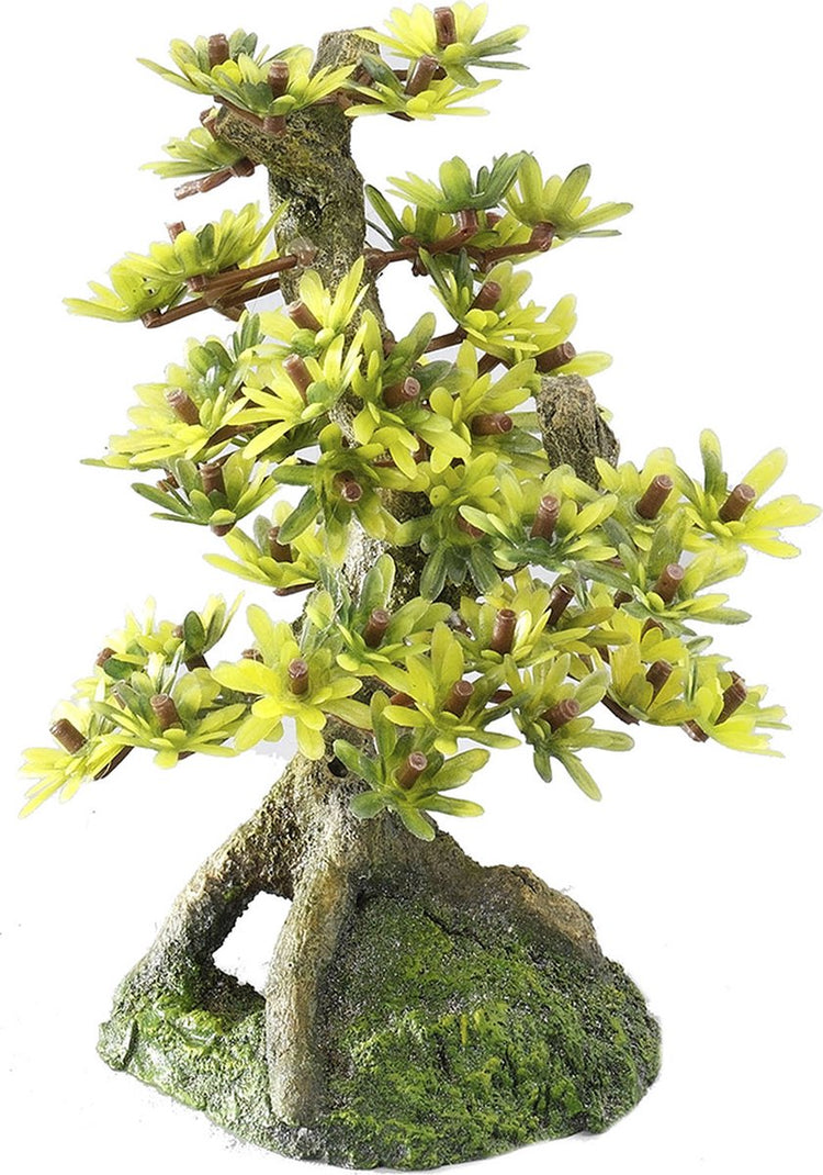 Aqua della europet bernina décor bonsaï 2 - aquarium - ornement - 15 cm