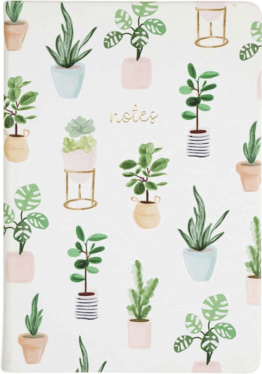 Carnet Eccolo - succulent - ligne - env. 15x20cm - ec-d444a
