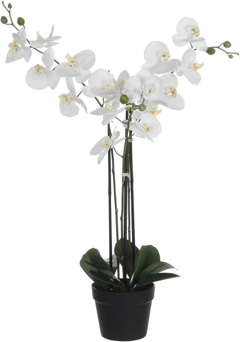 Mica décorations fleur d'orchidée plante artificielle - blanc - h75 x l50 cm