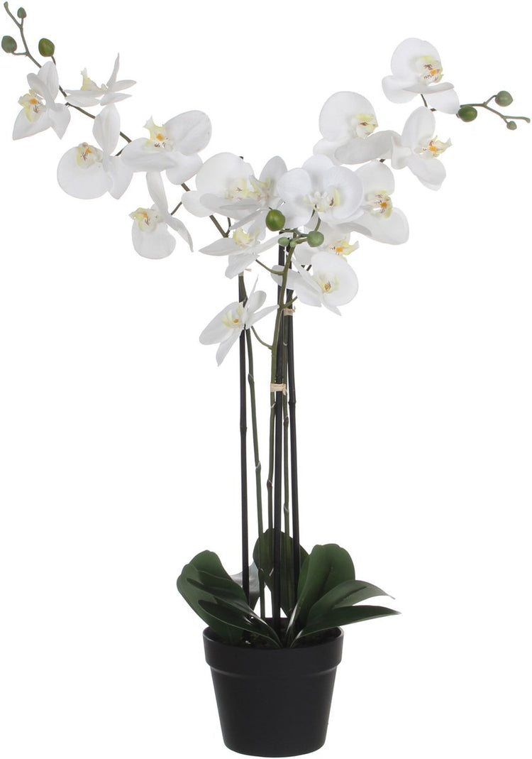 Mica décorations fleur d'orchidée plante artificielle - blanc - h75 x l50 cm