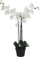Mica décorations fleur d'orchidée plante artificielle - blanc - h75 x l50 cm