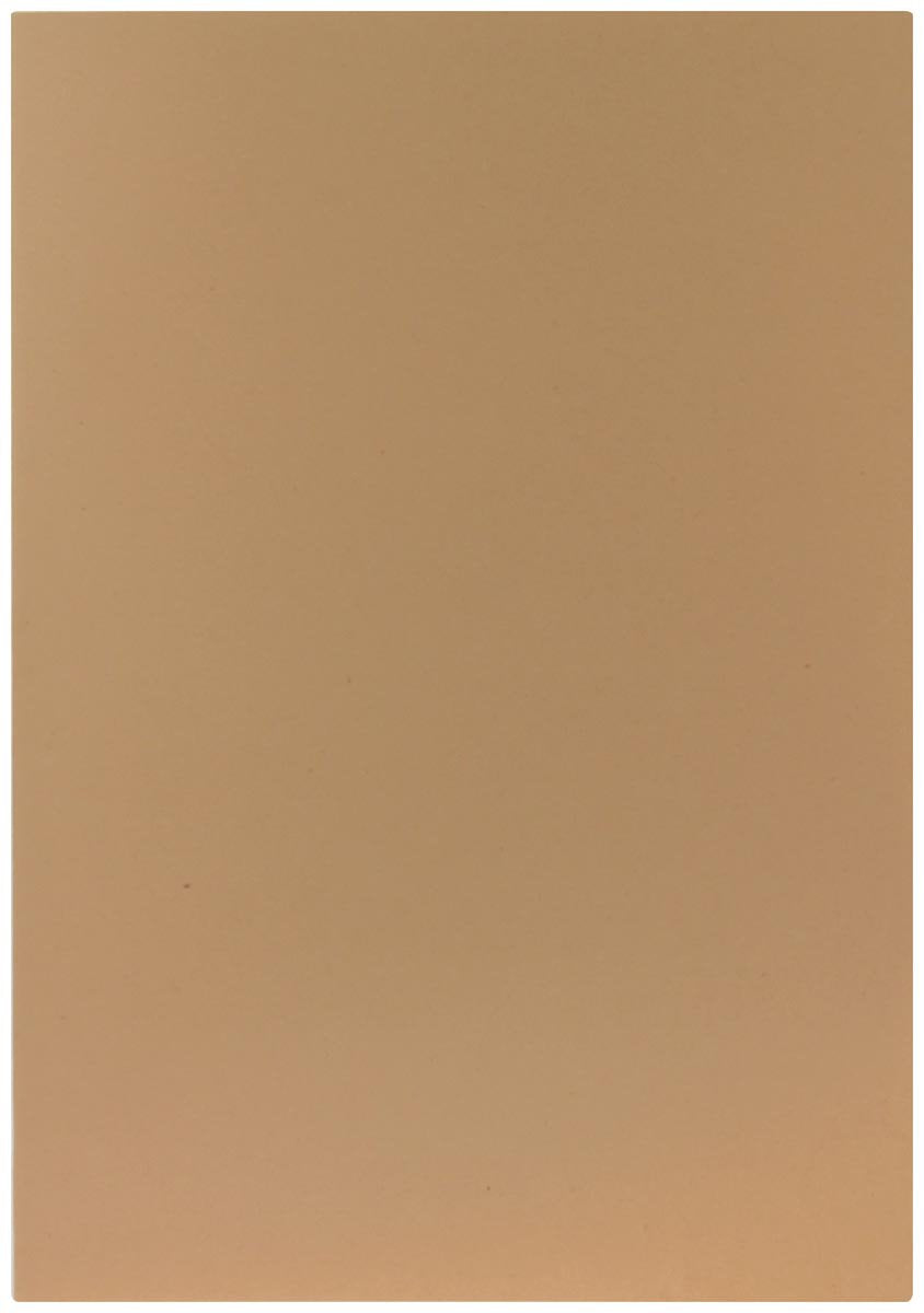 Dossier de fichiers Esselte gemmes | papier de 80 g m² | paquet de 250 pièces
