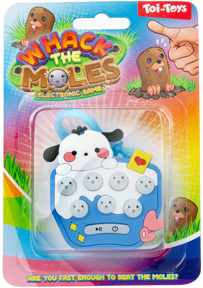 Jeu de mémoire TOI-TOYS accrochez-vous sur le trousseau