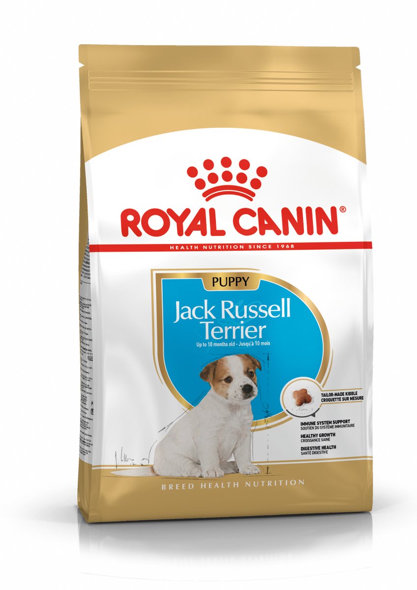 Canin royal