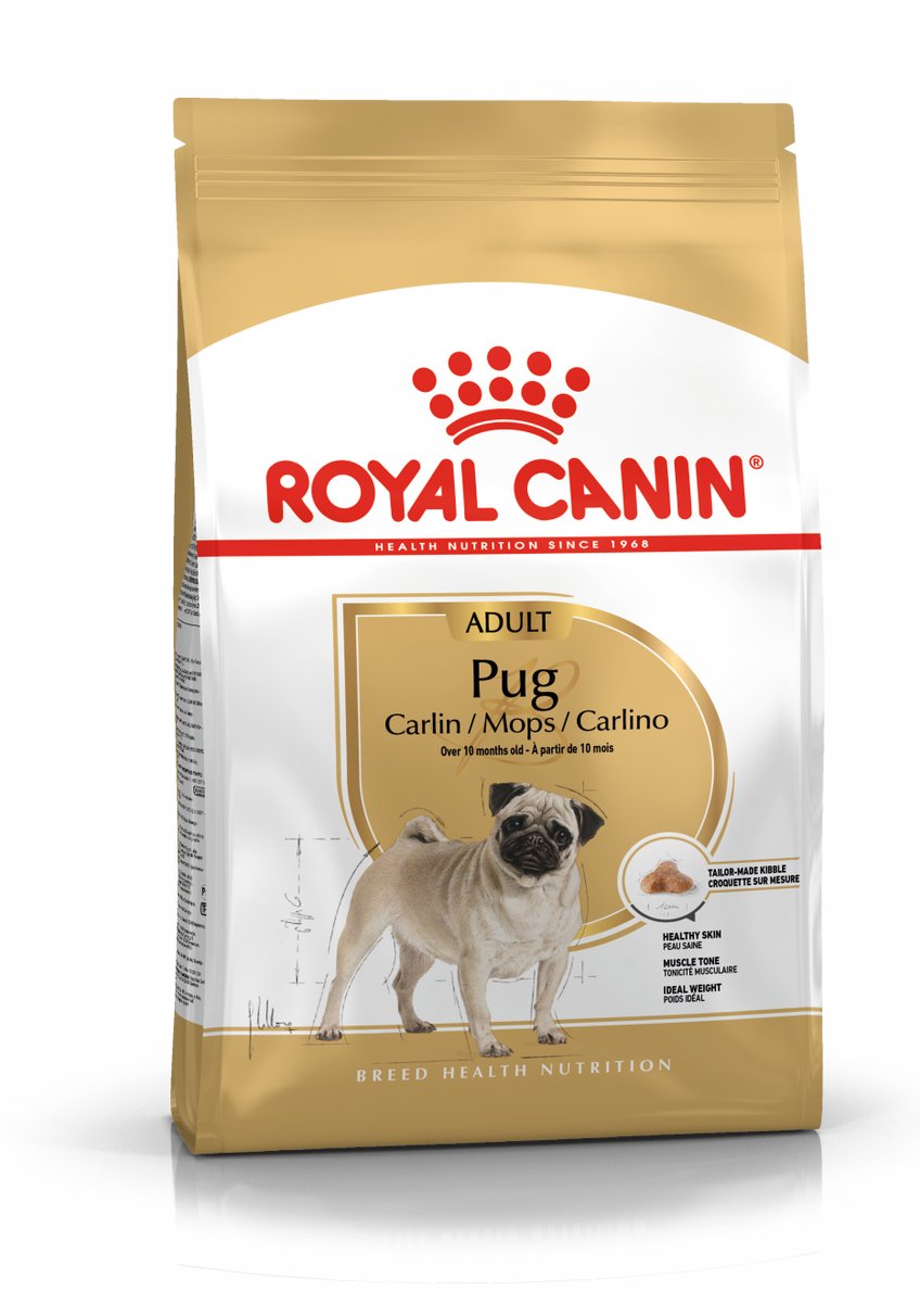 Canin royal