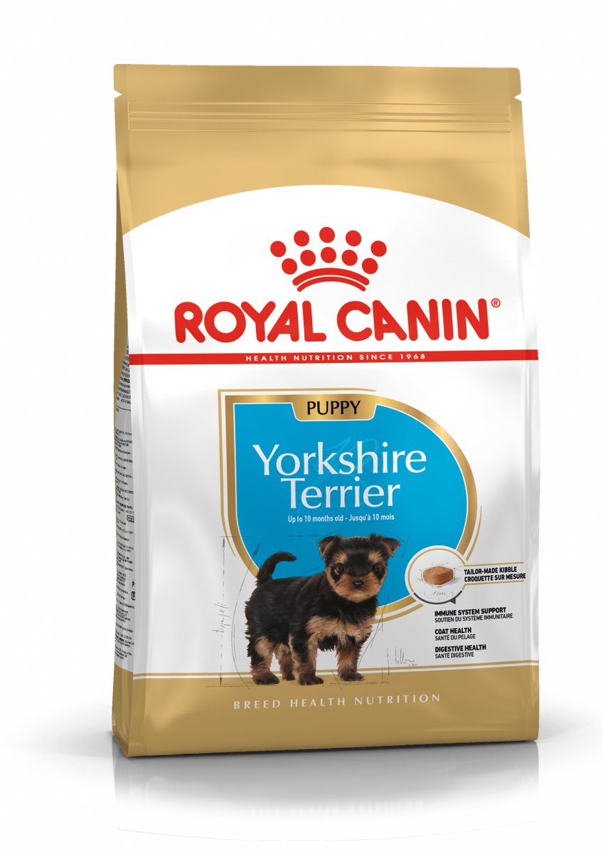 Canin royal