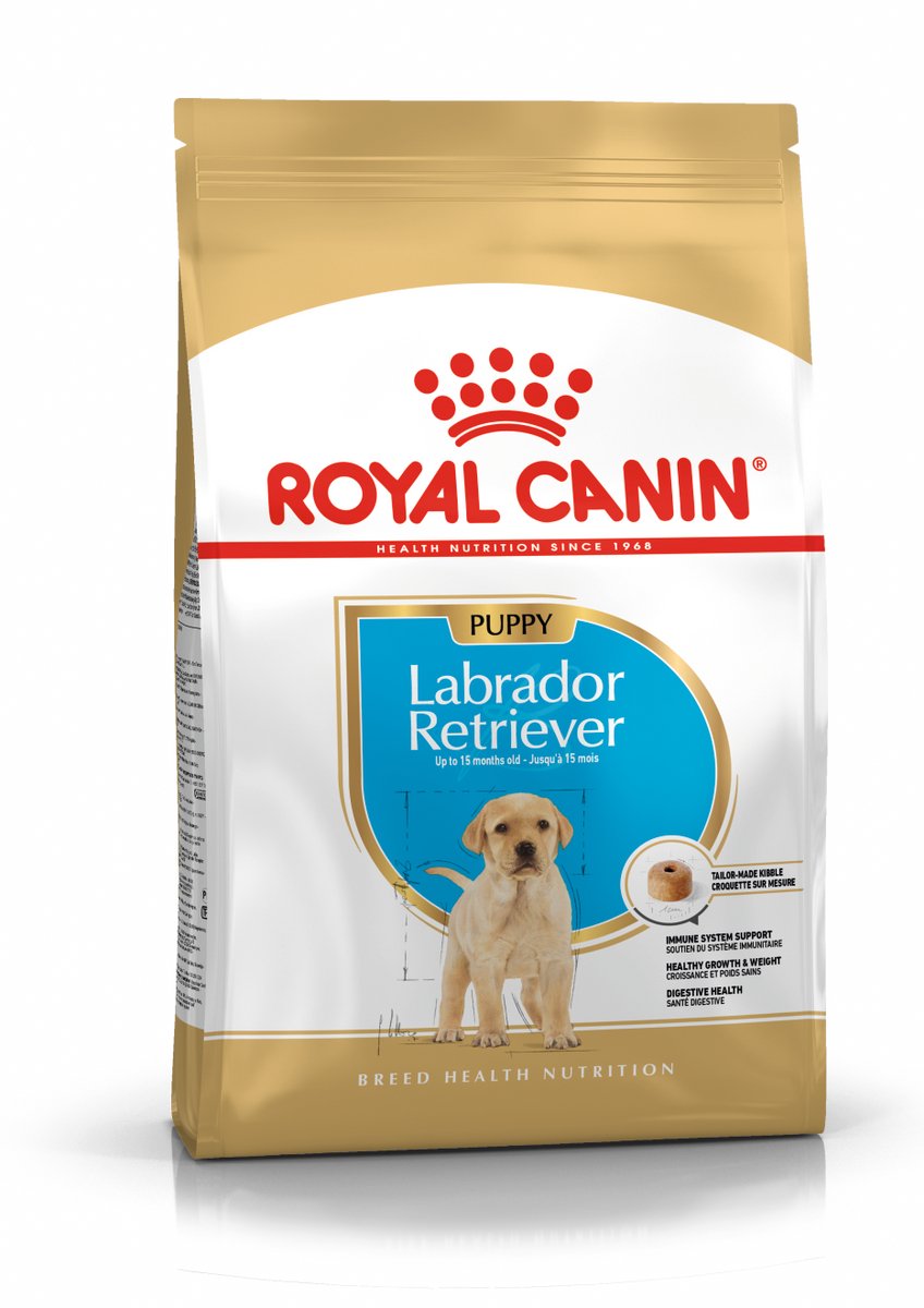 Canin royal
