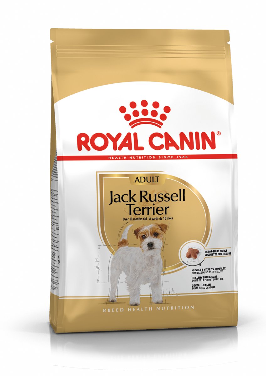 Canin royal