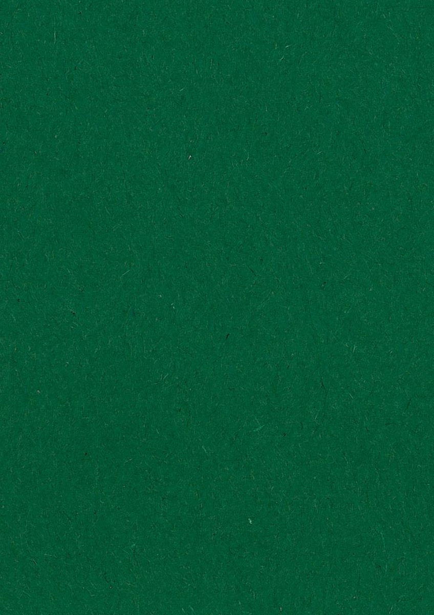 Papier à dessin coloré Gallery vert foncé