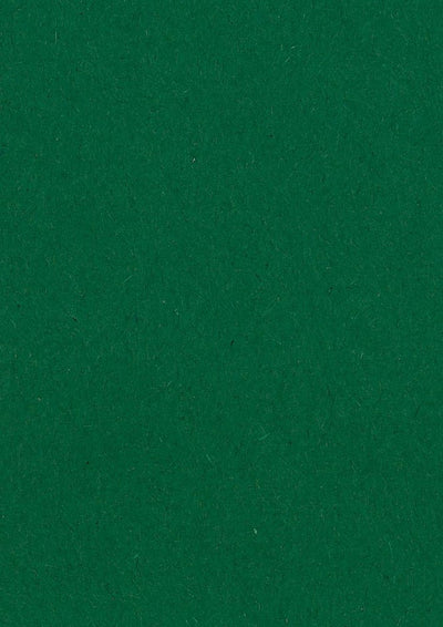Papier à dessin coloré Gallery vert foncé