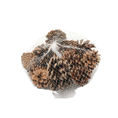 HBx pommes de pin naturelles vivantes sachet de 15 pièces