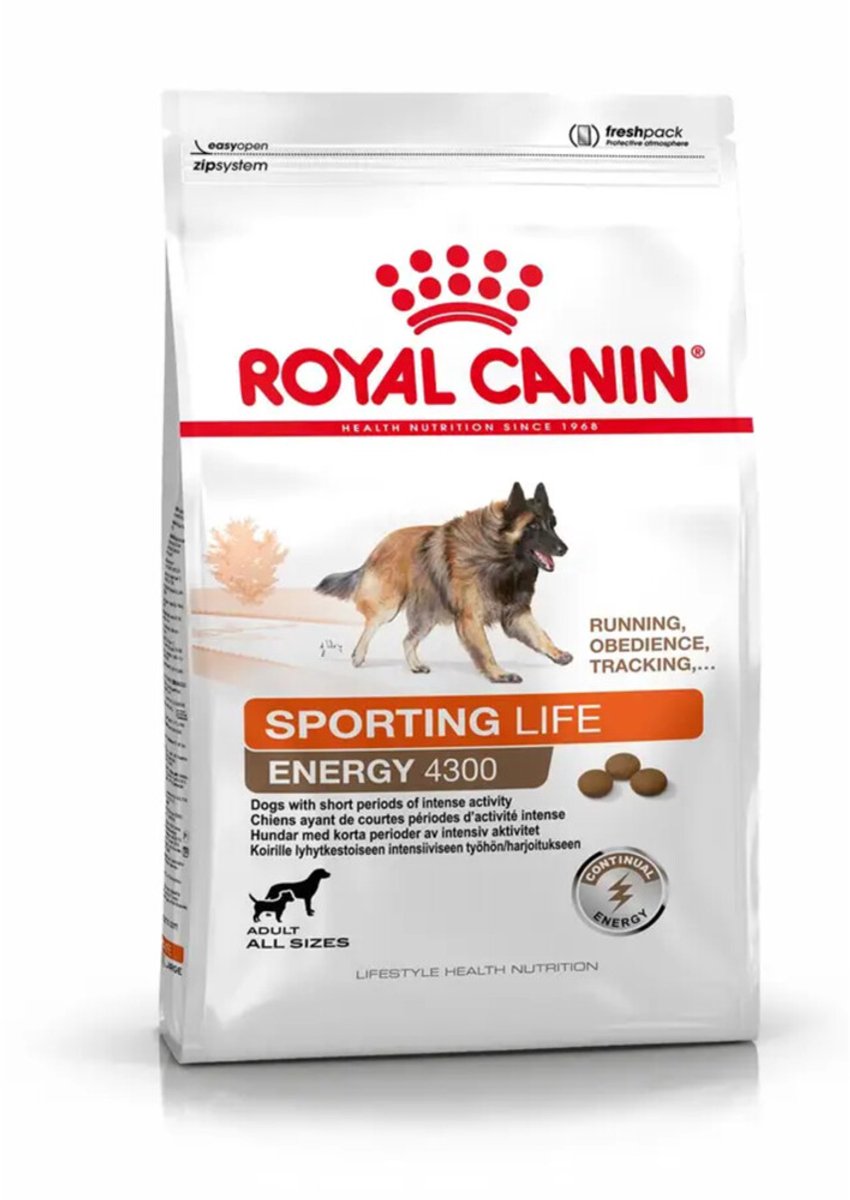 Canin royal