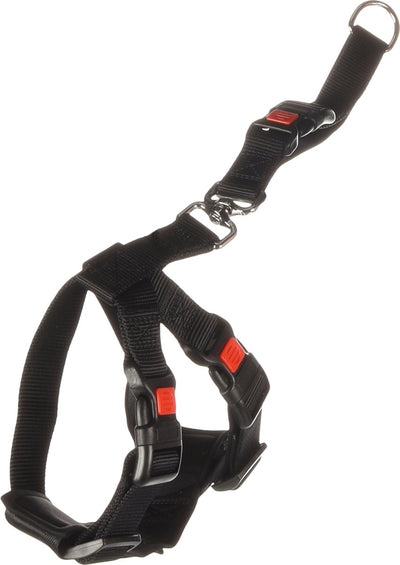Harnais de voiture pour chien Flamingo taille s - noir 35-50 cm