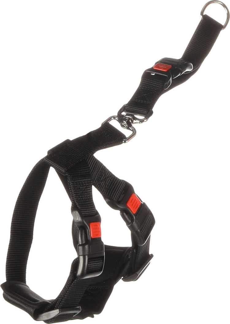 Harnais de voiture pour chien Flamingo taille s - noir 35-50 cm