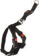 Harnais de voiture pour chien Flamingo taille s - noir 35-50 cm