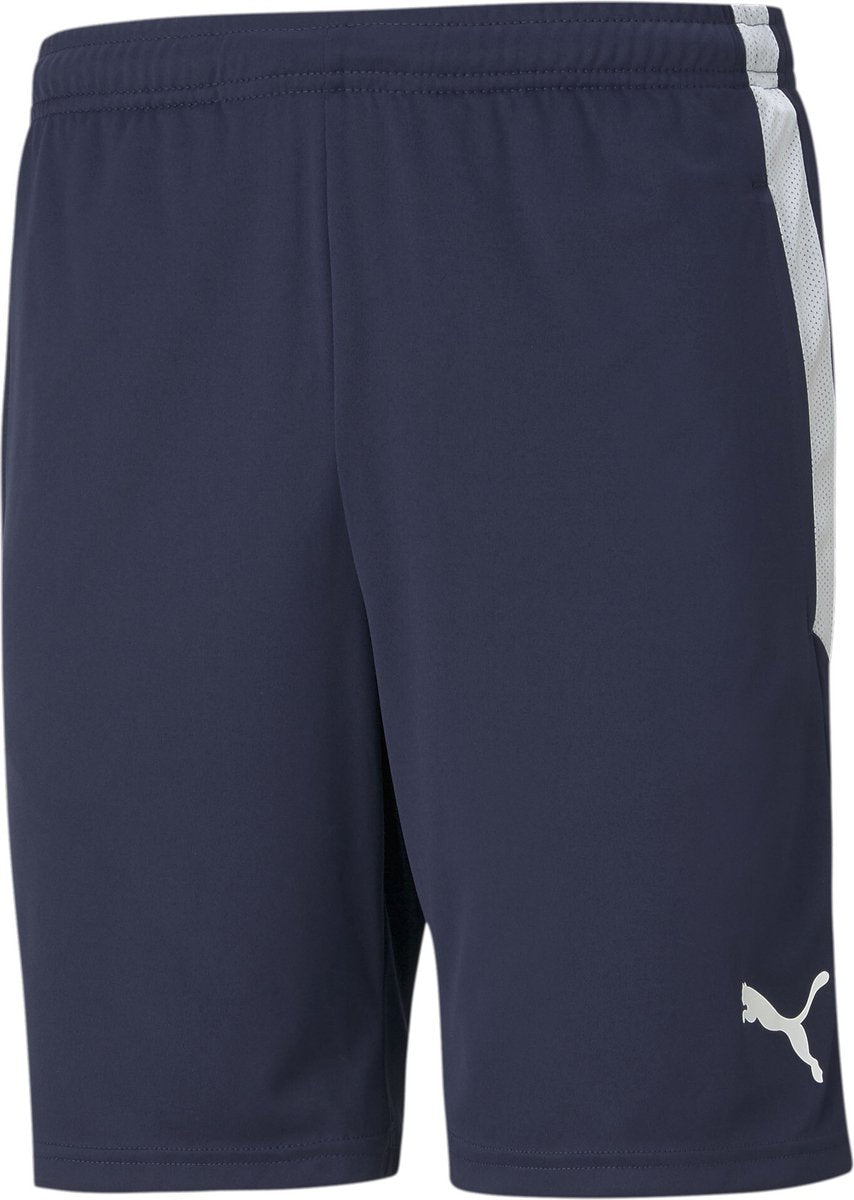 Puma teamliga training shorts pantalon de sport pour hommes - caban - blanc
