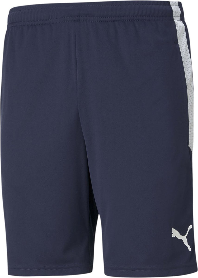 Puma teamliga training shorts pantalon de sport pour hommes - caban - blanc