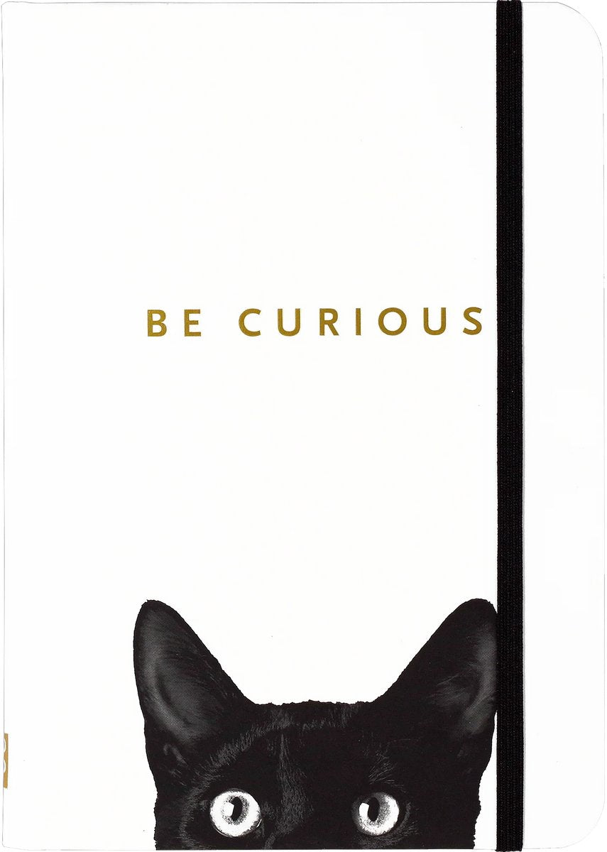 Carnet compact Peter Pauper - chat curieux - avec fermeture élastique - 13x18 cm