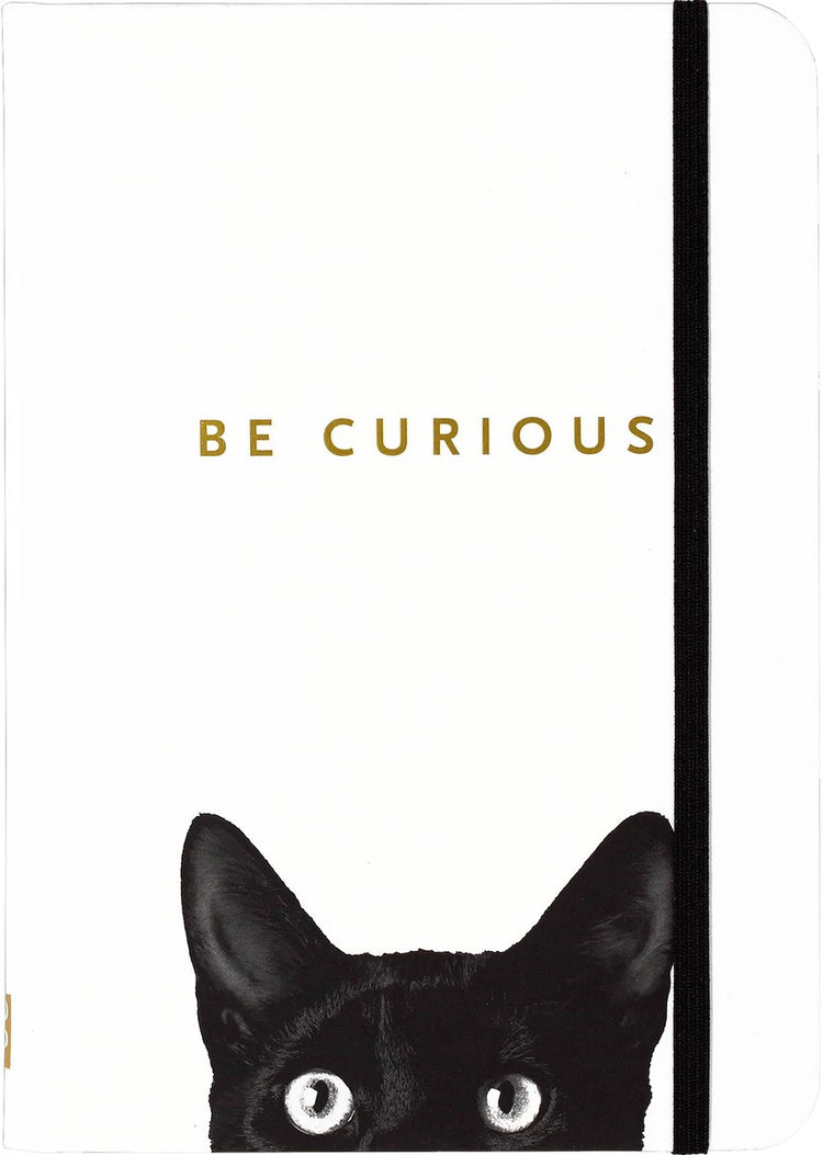 Carnet compact Peter Pauper - chat curieux - avec fermeture élastique - 13x18 cm