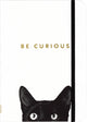 Carnet compact Peter Pauper - chat curieux - avec fermeture élastique - 13x18 cm