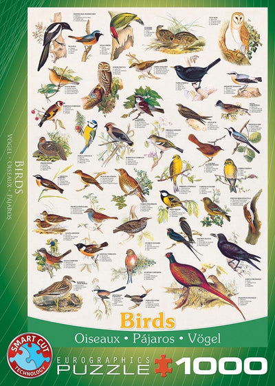 Eurographics - oiseaux [oiseaux] - 1000 pièces 48×68cm (l×h) - puzzle