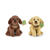 Peluche labrador retriever 2 types 20cm e