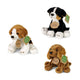 Peluche chiens assortis 14cm écologique