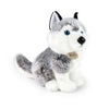 Série écologique Rappa - peluche husky - 30 cm - avec capuchon recyclé