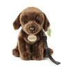 Peluche labrador 25 cm écologique