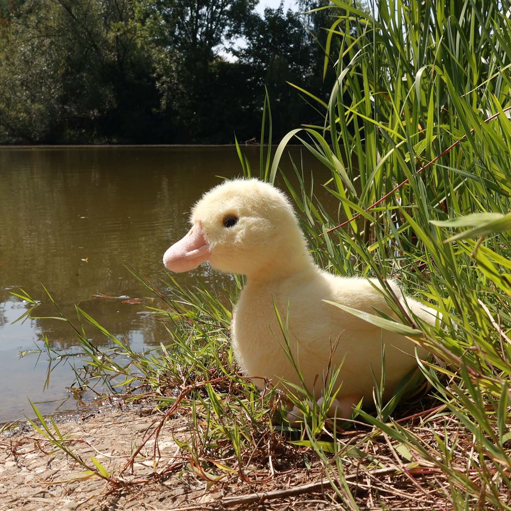 Peluche canard 24 cm écologique