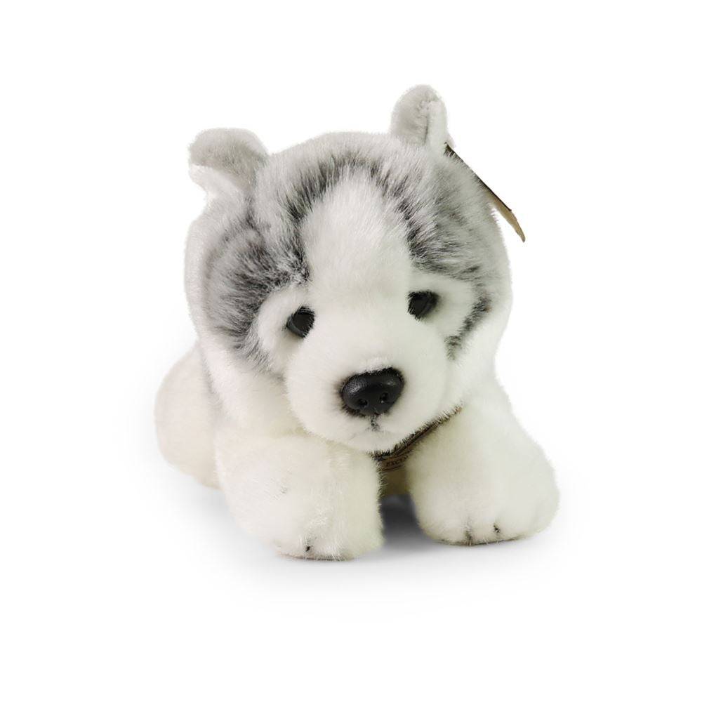 Peluche husky 24 cm écologique