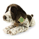 Peluche braque allemand à poil court 43 cm éco-free