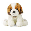 Peluche Saint Bernard 26 cm écologique
