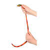 Incroyable serpent extensible frais Small Assorti