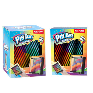 Fun pin art arc-en-ciel 12x9cm (fidget) 2 assortis | 2 pièces