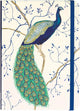 Carnet compact Peter Pauper - paon - avec fermeture élastique - 13x18 cm