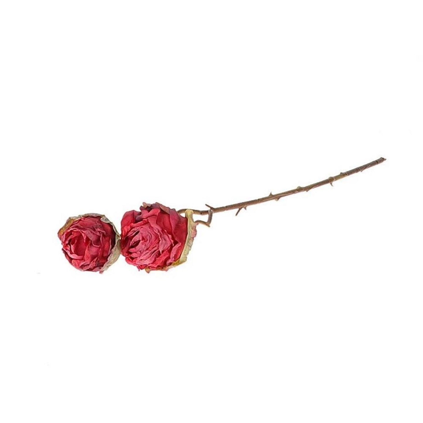 HBx natural living branche décorative rose 45cm rouge