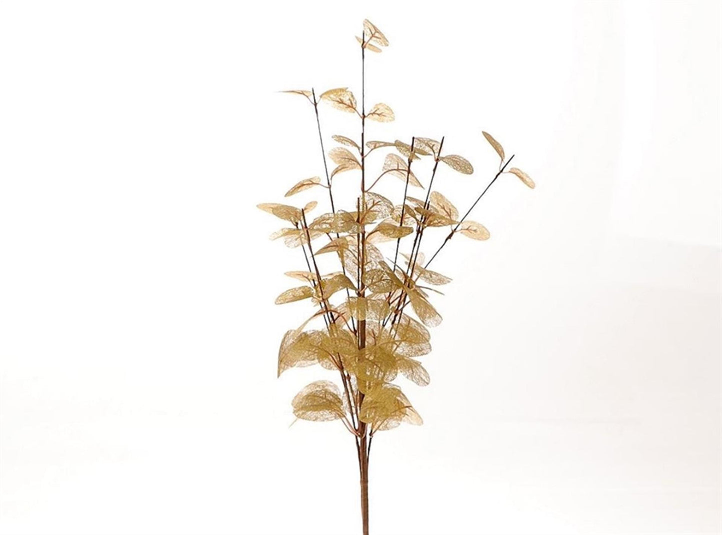 Hbx branche artificielle vivante naturelle euca cinerea 40x25cm or