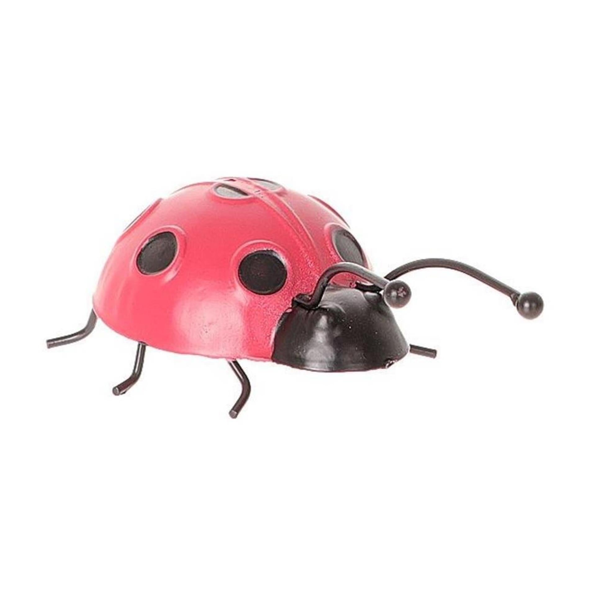 Hbx déco murale vivante naturelle coccinelle 14x8,5xh4cm rouge