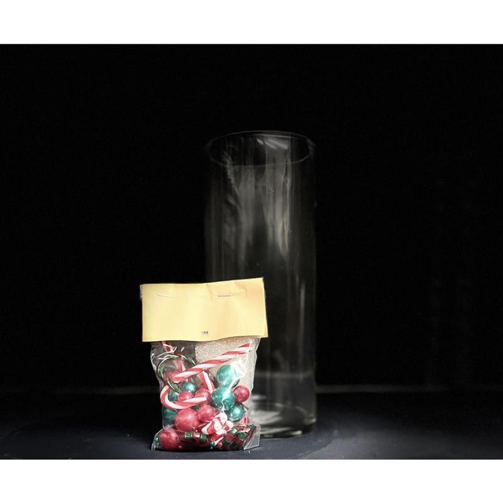 Vase vivant naturel HBx avec perles d'eau déco, joie de Noël