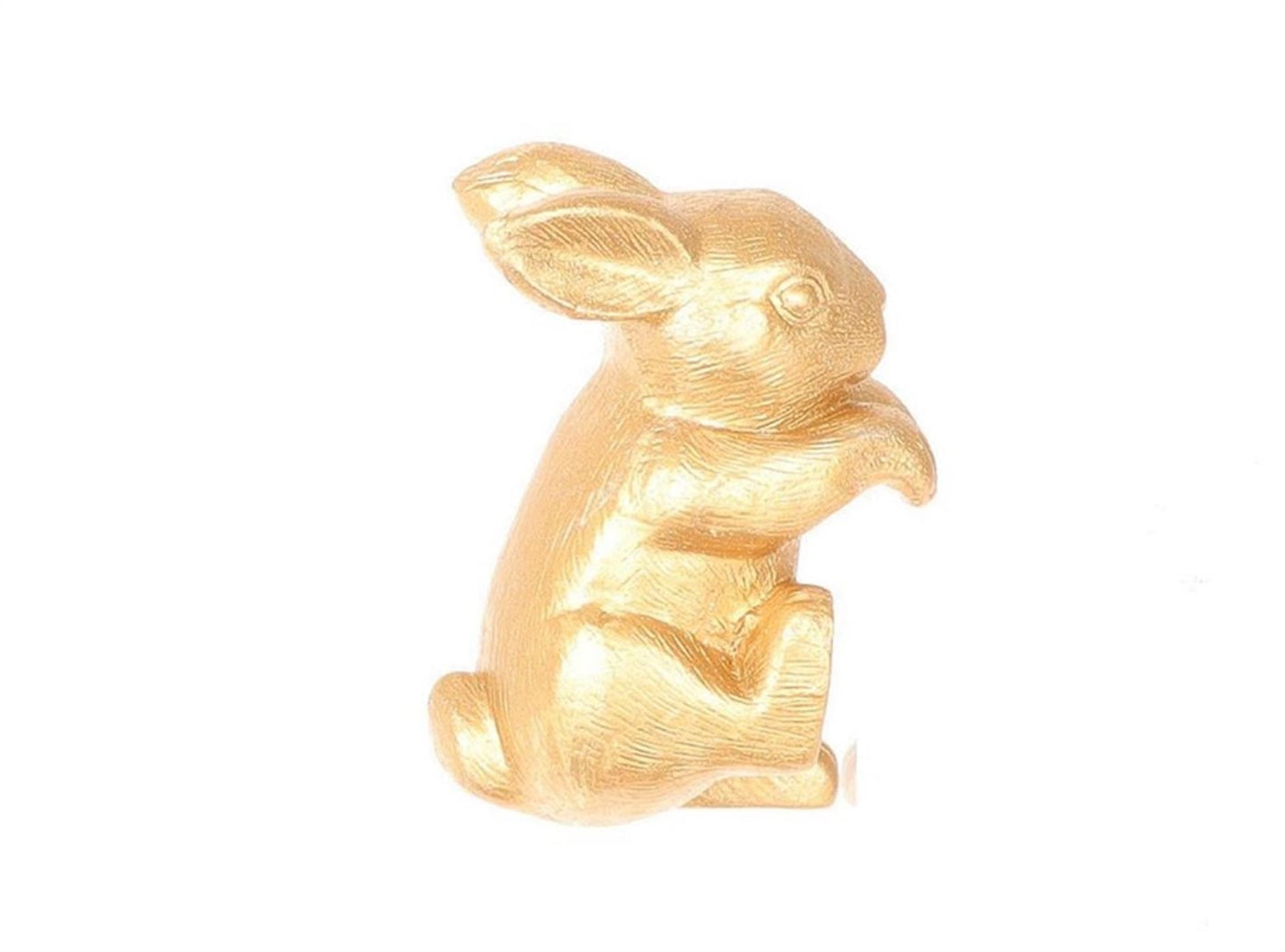 HBx naturel vivant pot de fleur cintre lapin couleur or