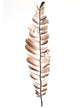 HBx plumes de branche déco vivante naturelle 60cm