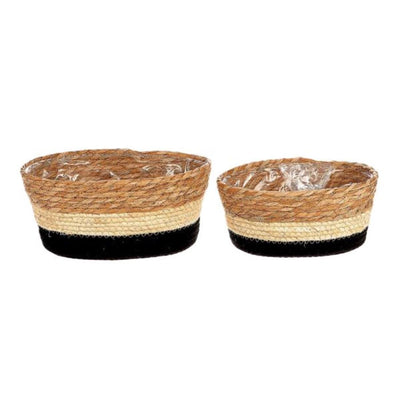 Hbx panier de plantes vivantes naturelles makka set a 2