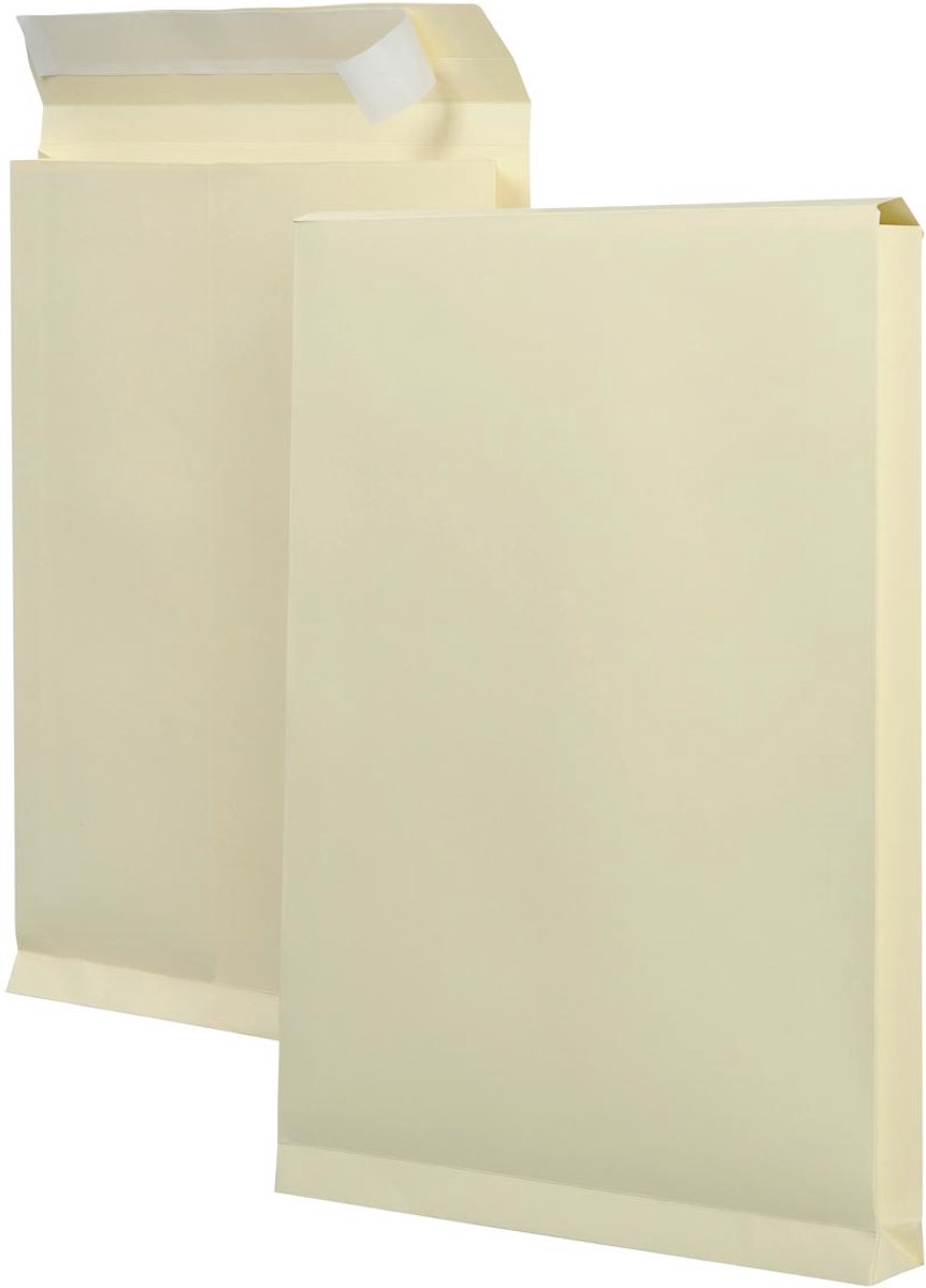 Sacs d'échantillons ft 262 x 371 x 38 mm (125 pièces)