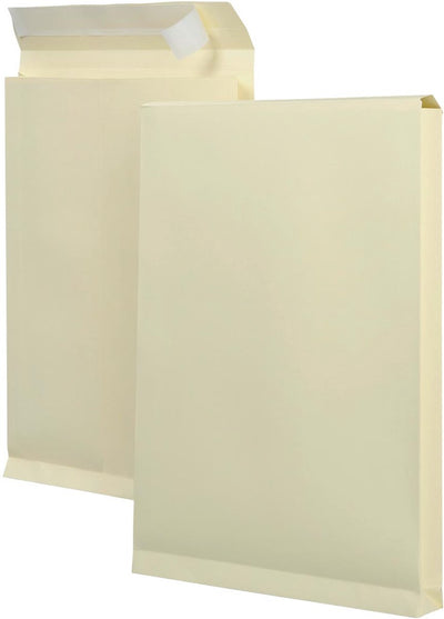 Sacs d'échantillons ft 262 x 371 x 38 mm (125 pièces)