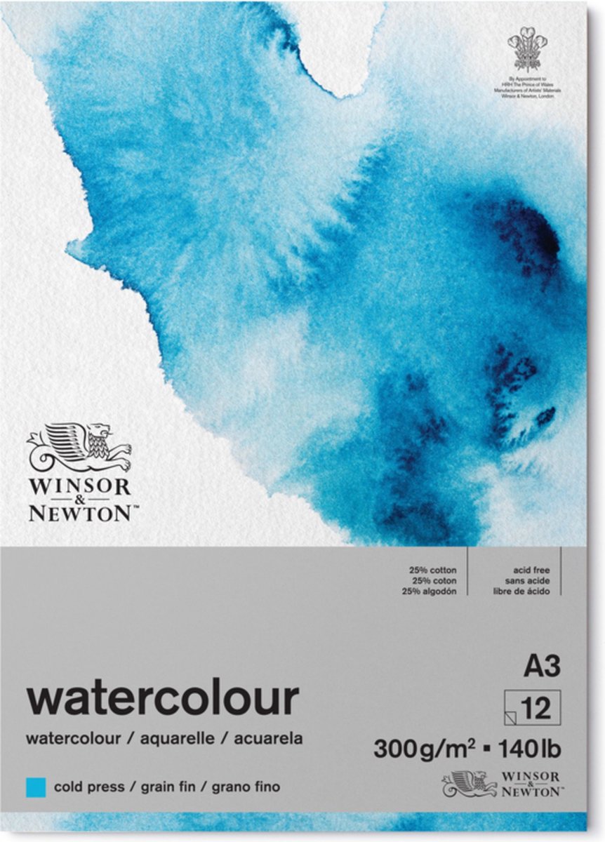 Winsor Newton bloc d'ailerons de grain de papier aquarelle classique 300 grammes A3